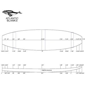 Atlantic Blanks 7‘5 F Populaire