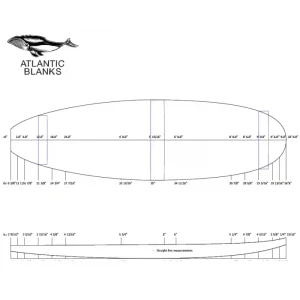 Atlantic Blanks 10‘ SUP Prix Promo