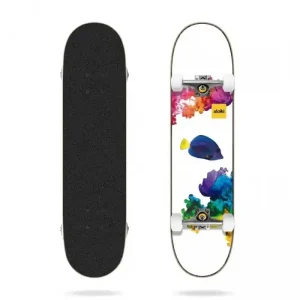 Coral 7.87" MC Skateboard complet Aloiki Expédition Rapide