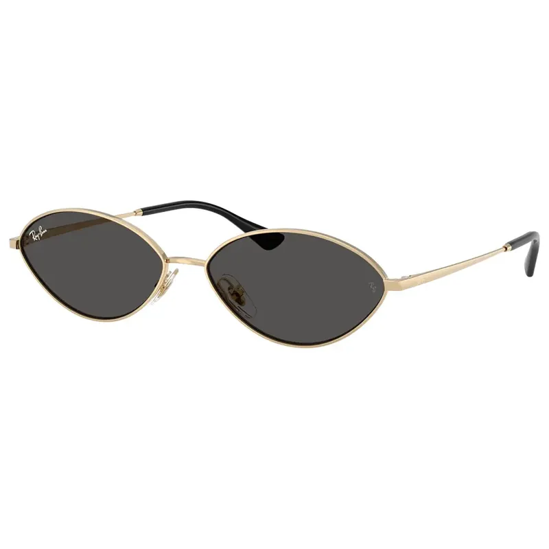 Achat Immédiat Lunettes de soleil Ray Ban RB3757 Kai Polished Gold Dark Grey