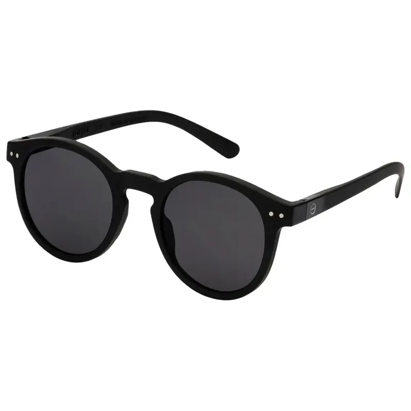 Acheter Direct Lunettes de soleil Izipizi Sun M Black Road Brown Shading Polarized