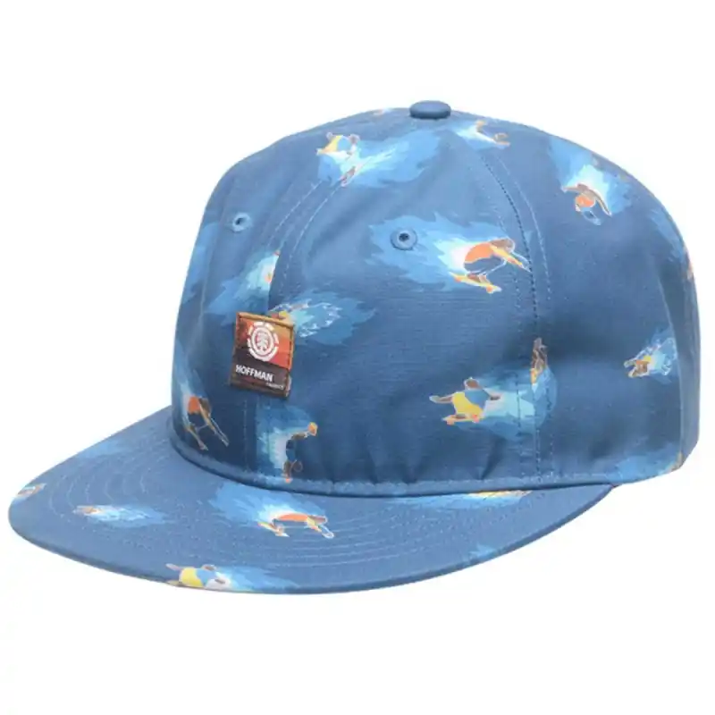 Promotion Casquette Element Hoffman Cap