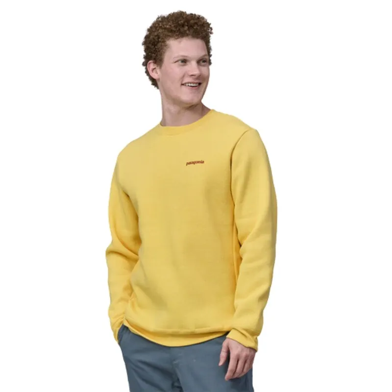 PULL PATAGONIA FTIZ ROCY ICON UPRI Bon Plan