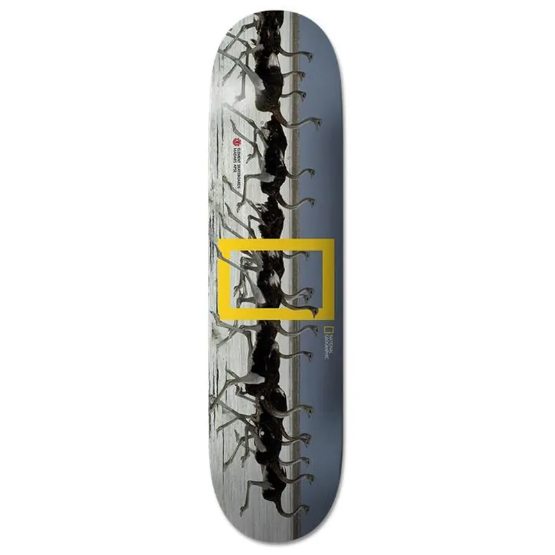 PLANCHE DE SKATE ELEMENT NAT GEO MADARS OSTRICH Achat Immédiat