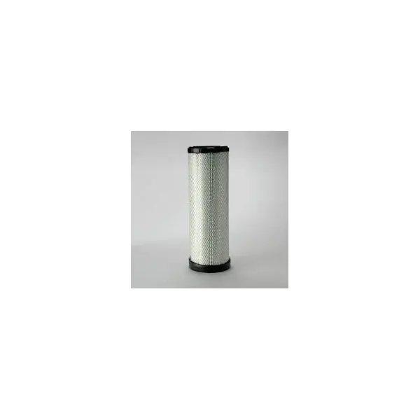 Expédition Rapide Donaldson P777869 Engine Air Filter