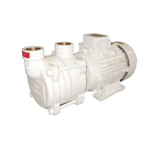 Vente Flash Gianneschi ACB331/2 High Capacity Brons Stage Pump 24V