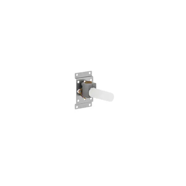 Retour Gratuit Dornbracht Concealed Wall Elbow 35.005.970.90