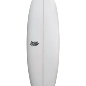 Prix Cassé FISH HAWAII SURF