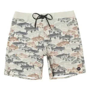 Horton Boardshort Homme Prix Cassé