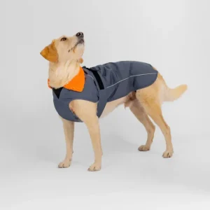Soldes Dog Coat - Veste pour chien Gris / Orange