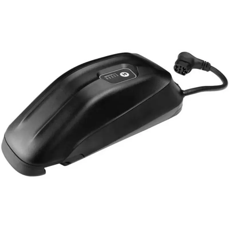 Prix Cassé Giant Batterie externe Energypak Plus 250Wh