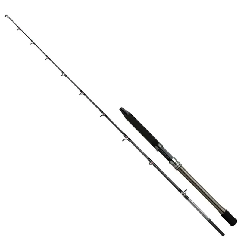 Offre Du Jour Shimano Fishing Canne pêche de fond SpeedMaster AX Deep Drop