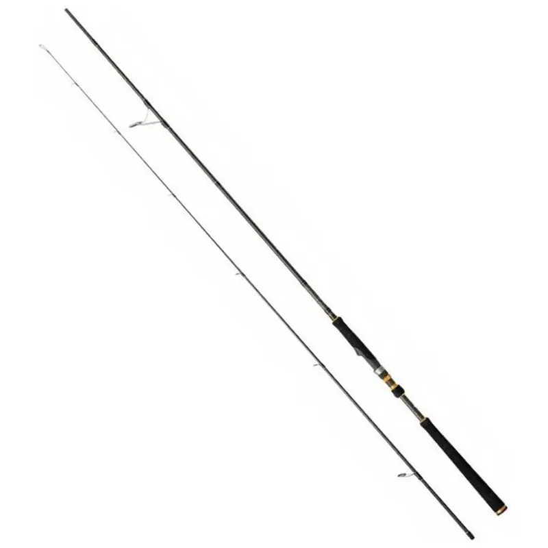 Dernière Chance Cinnetic Canne spinning Raycast XBR Dartn