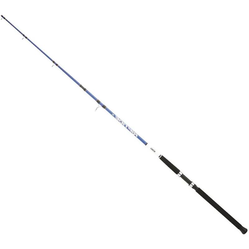 Top Vente Mitchell Canne spinning Riptide R Dorade