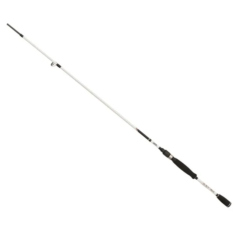 Expédié Aujourd'hui Mitchell Canne spinning Riptide RZ