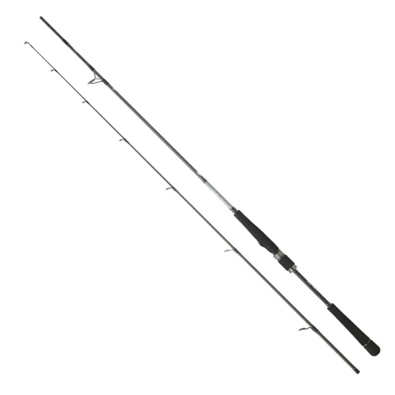 Expédié Aujourd'hui Daiwa Canne spinning Saltist Seabass