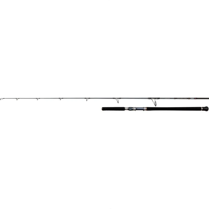 PENN Canne traine Battalion Solid Offshore Prix Promo