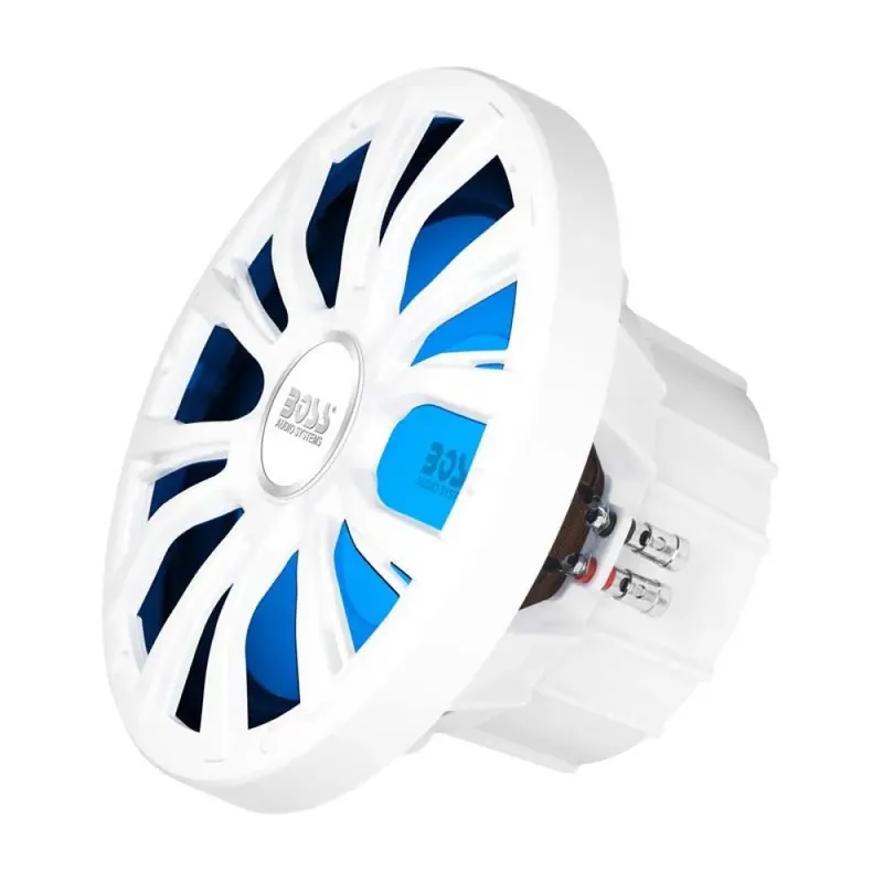 Jusqu'à Épuisement Des Stocks Boss Audio Enceinte MRGB10W 800W