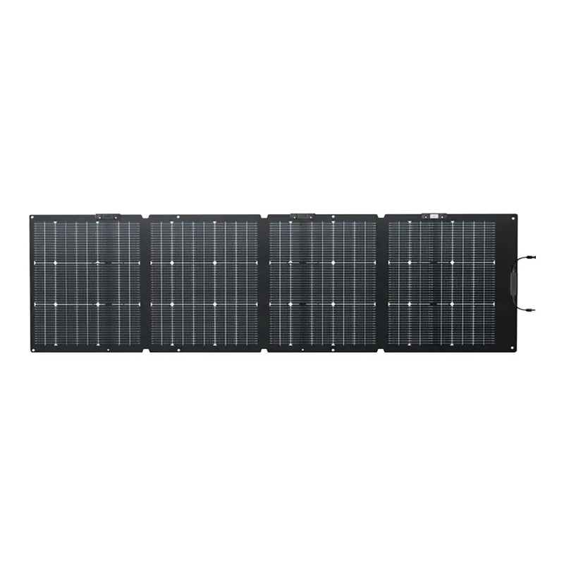 Ecoflow Panneau photovoltaïque bifacial de nouvelle génération 220W Petit Prix