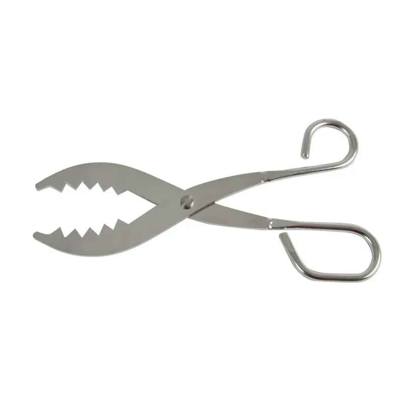 Seanox Pince à anguille/vive Acier inoxydable Dernière Chance