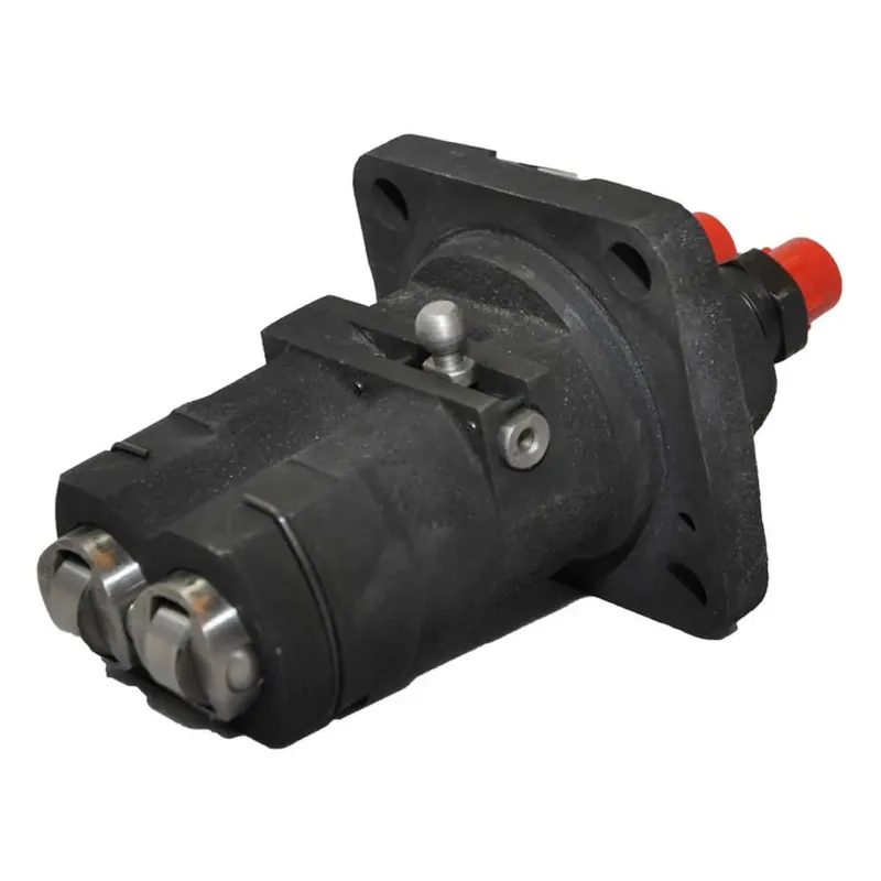 Livraison Express Bukh Pompe d´injection DV20-32