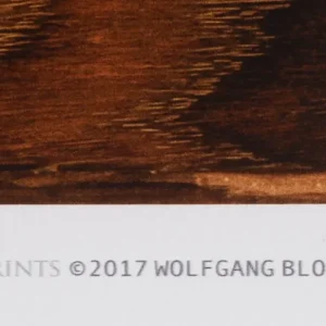 Lithographie WOLFGANG BLOCH no. 127-07 Must-Have