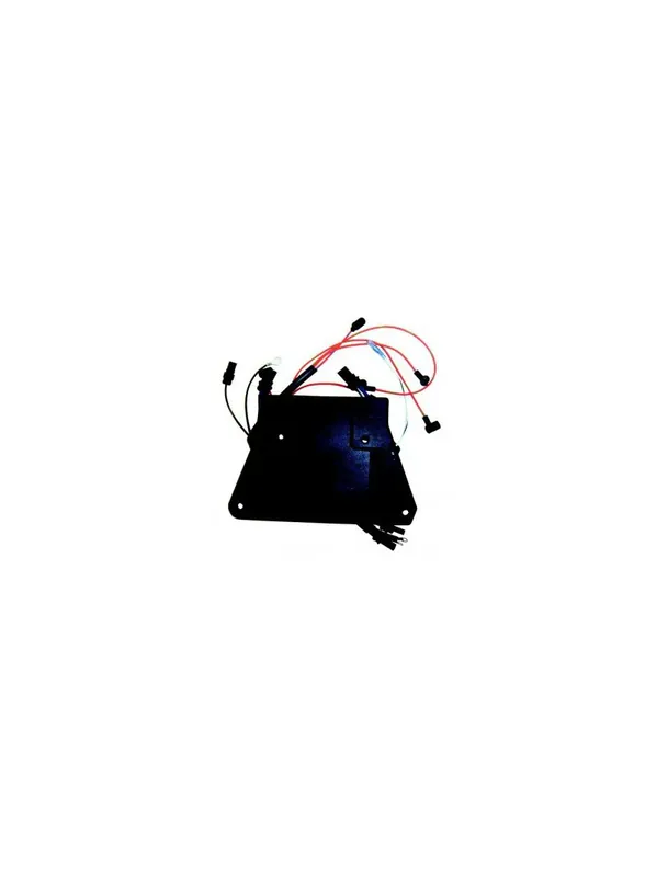 Vente Flash boitier électronique pour johnson evinrude 185/225 CV REC-0586667