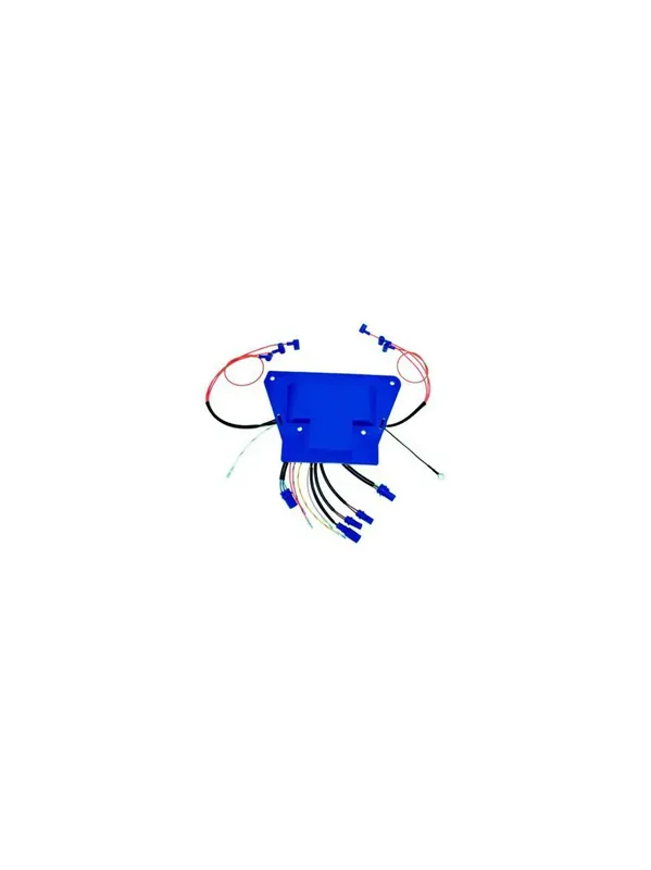 Offre Exclusive boitier électronique pour johnson evinrude 185 à 250 CV REC-0586661