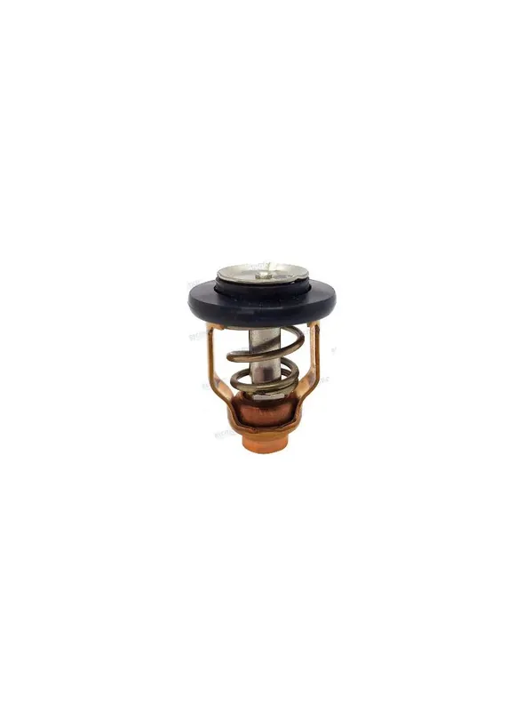 Top Vente thermostat pour moteur hors bord suzuki température 50° DF100/115/140 (2013+) DF150/175/200 (2018+) DF150/175 (2012+) DF200A/AP/AT (2015+) DF250AP/DF300AP (2012+)