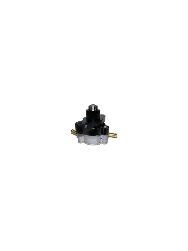 Certifié pompe à essence pour Mercury 75/90/115cv REC-68V-24410-00